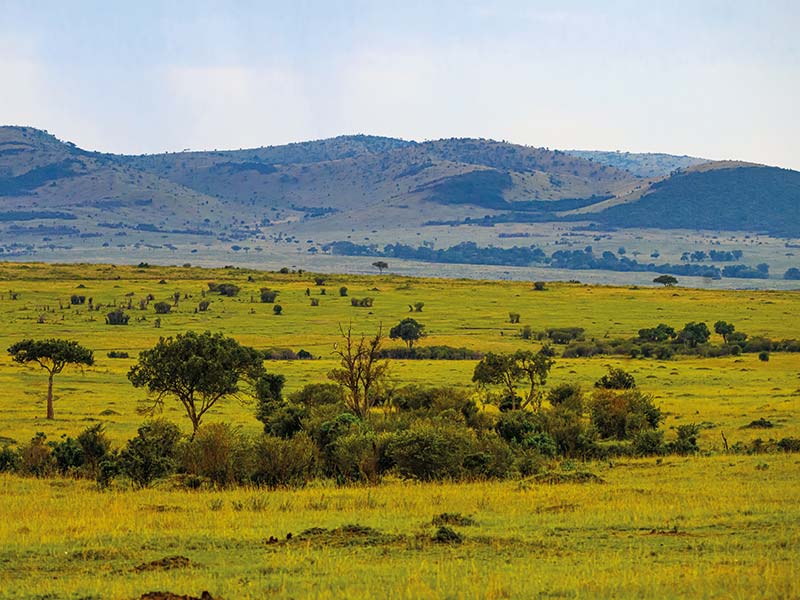 Foto Safari Afrika foto