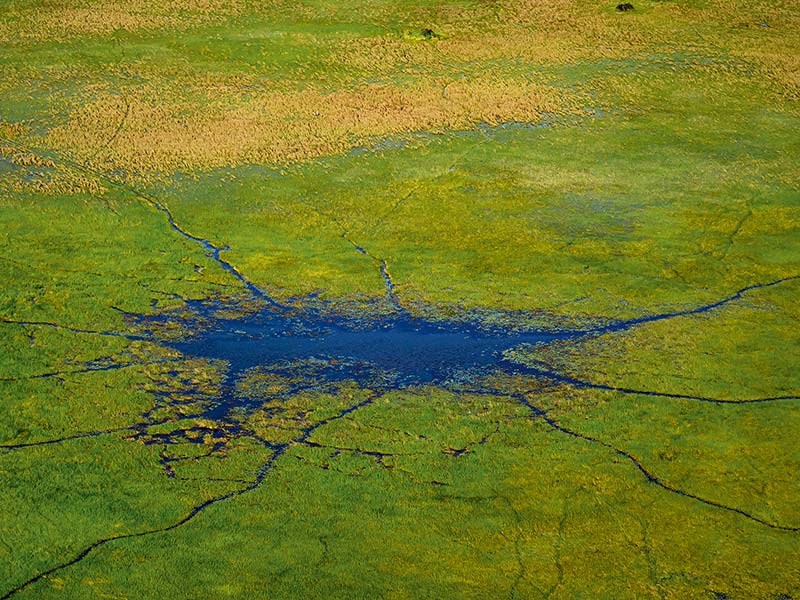 Foto Safari Afrika foto